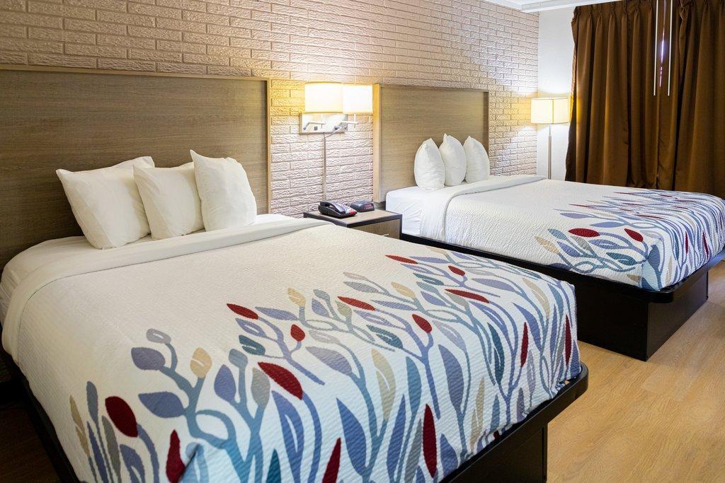 Red Roof Inn Savannah - Richmond Hill I-95 Ngoại thất bức ảnh